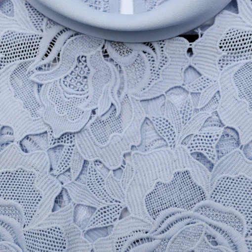 self-portrait Flower Lace Contrast Collar Midi Dress